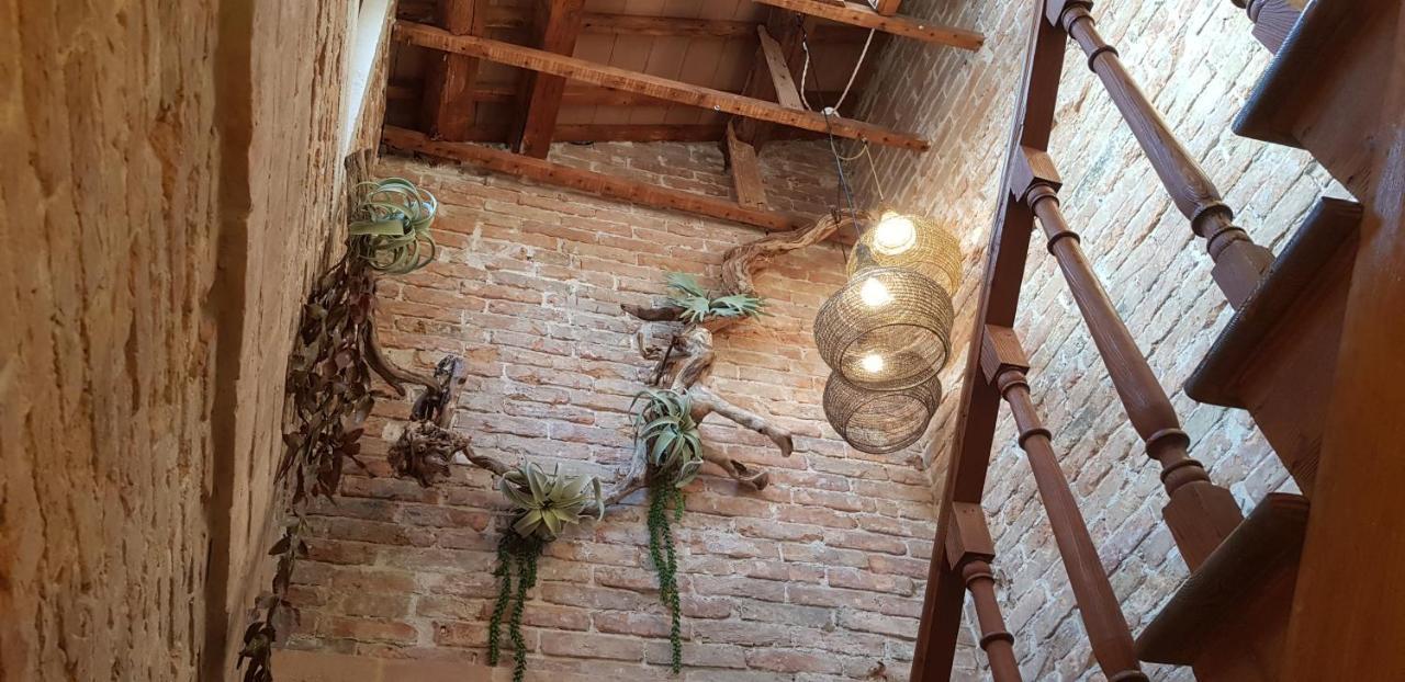 Maison Du Flaneur Chioggia Zewnętrze zdjęcie